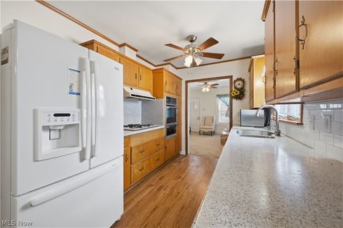 Tiny photo for 145 W Vermont Ave, Sebring, OH 44672 (MLS # 5196996)