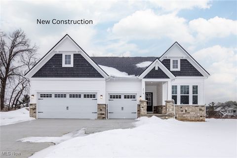 3719 Overlook Court Akron OH 44333
