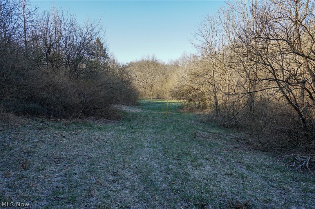 Groves Hill Rd, Caldwell, Ohio image 8