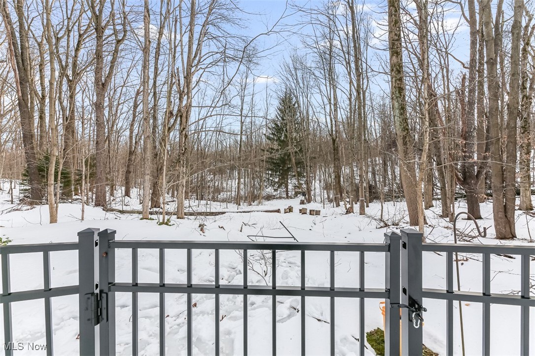 9401 Wilson Mills Road, Chesterland, Ohio image 35