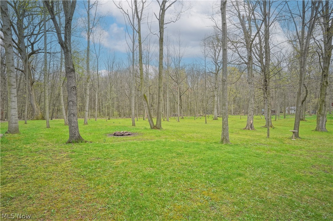 12 Original Tallmadge Township - Residential