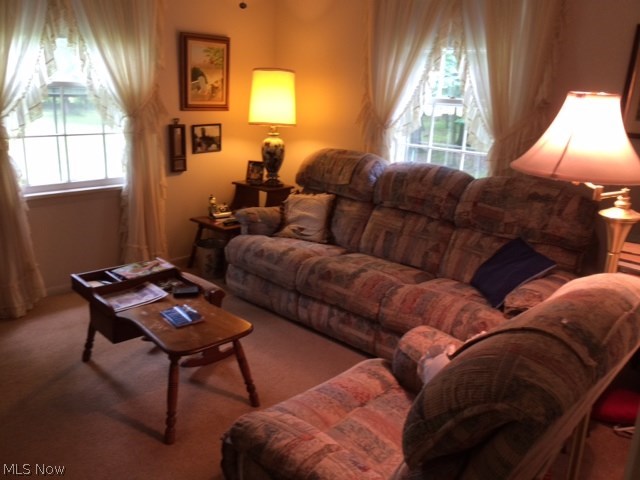 Township/Bazetta - Residential