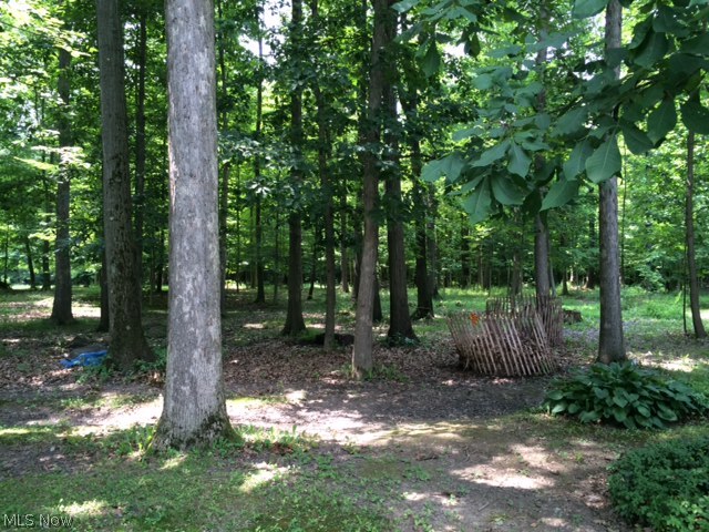 Township/Bazetta - Residential