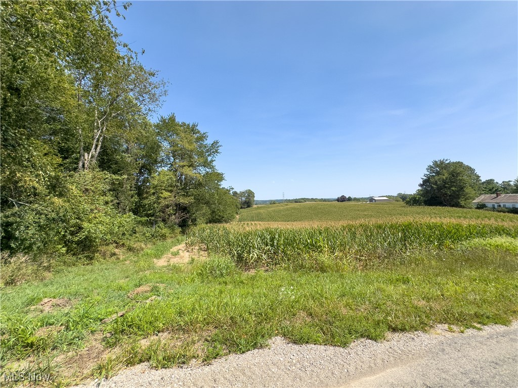 6 Acres Culbertson Road, Zanesville, Ohio image 6