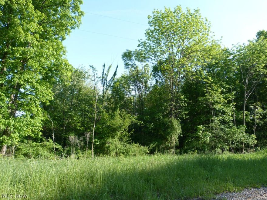 50 acres of beautiful wooded land on Spring Mountain with a small clearing in the middle of property. Great place to hunt. Property is currently under CAUV program. Mineral rights will transfer.