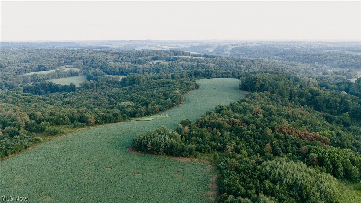Nickel Road