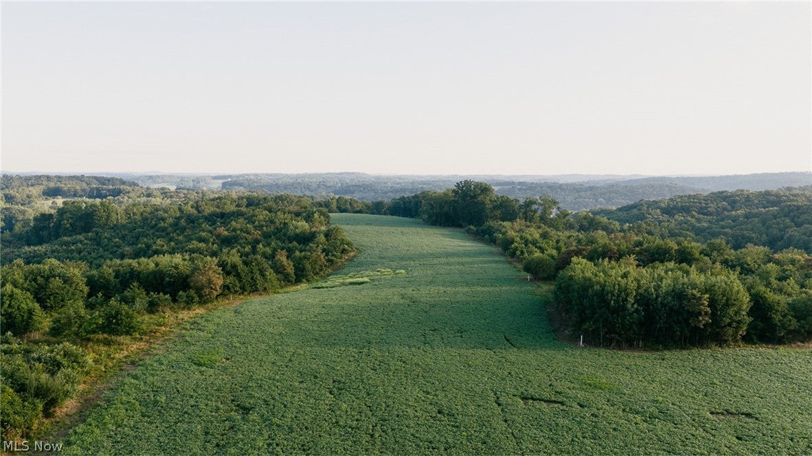 Nickel Road