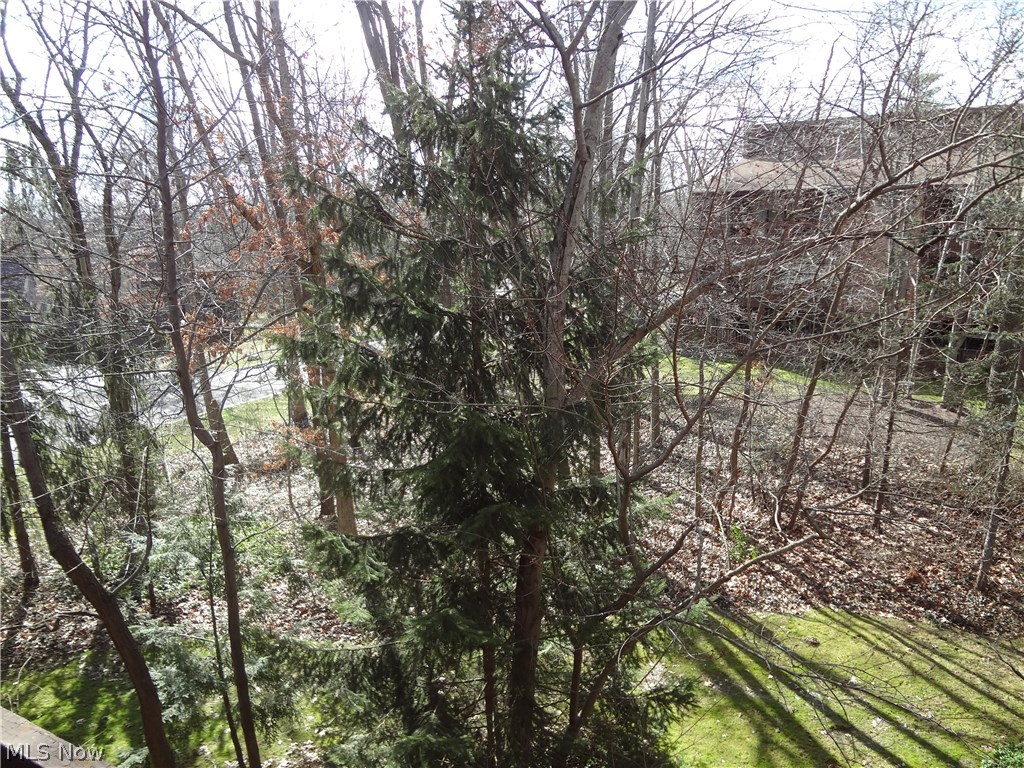 Greenwood Village Condo - Residential