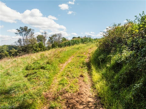 Vacant Land For Sale - Deibel Road<br/> Stone Creek, OH 43840