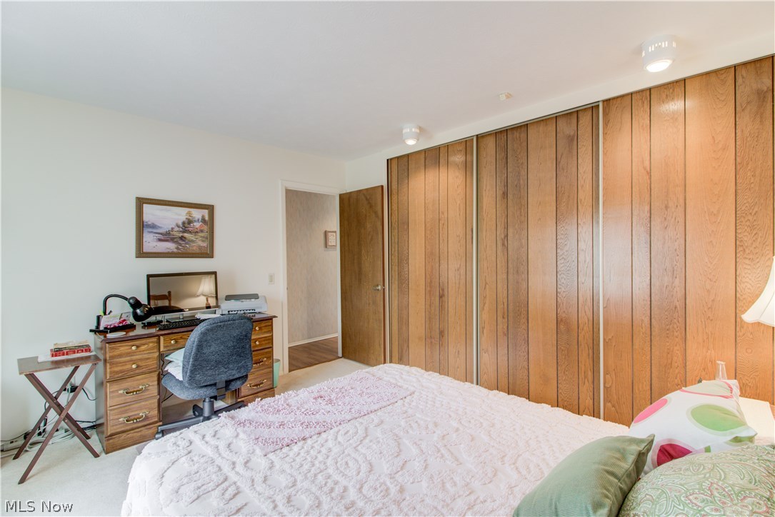 Meadows Clstr Dev - Residential