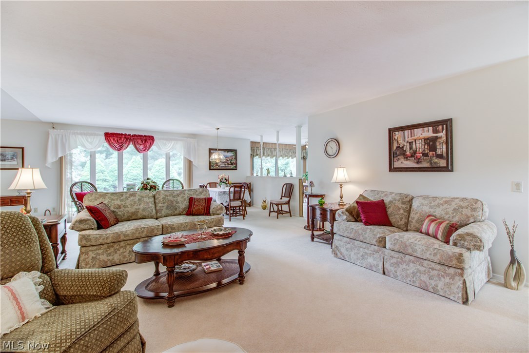 Meadows Clstr Dev - Residential