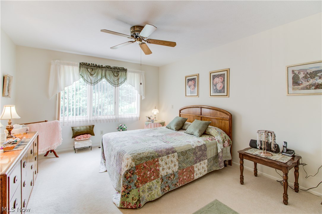 Meadows Clstr Dev - Residential