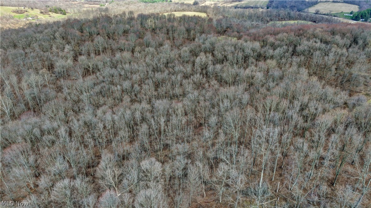 United States Military Lands - Land