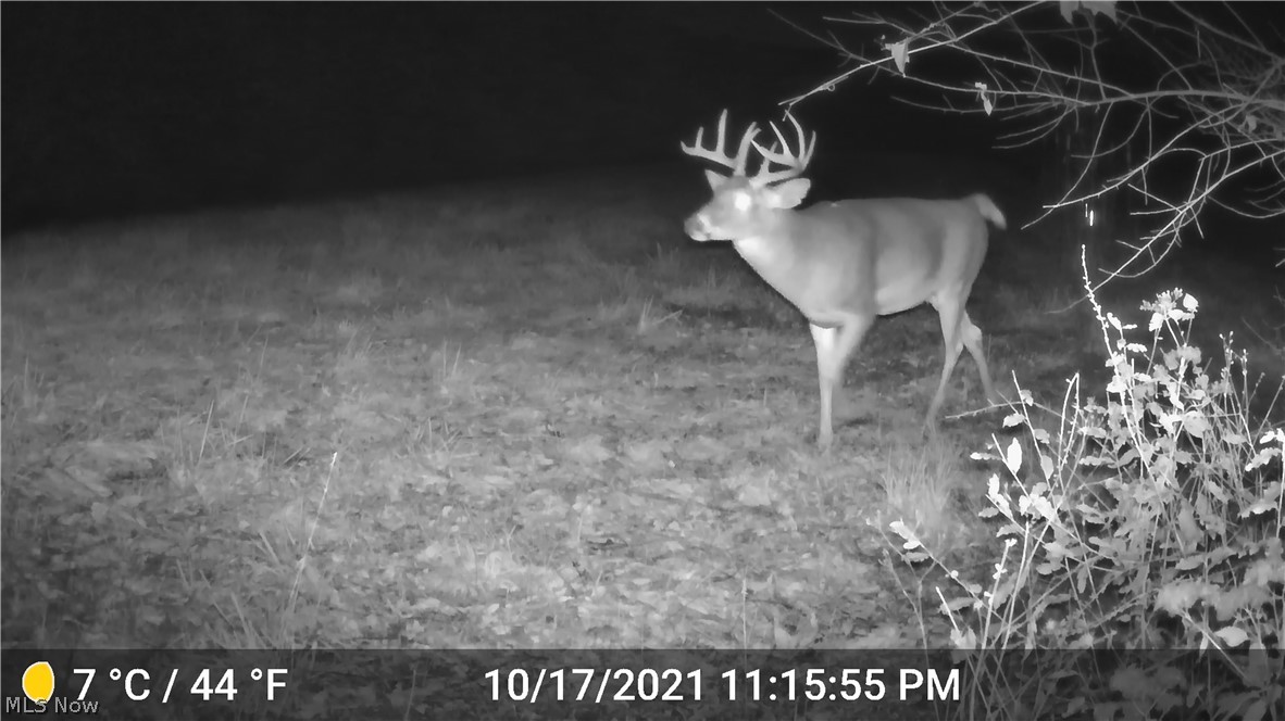 United States Military Lands - Land