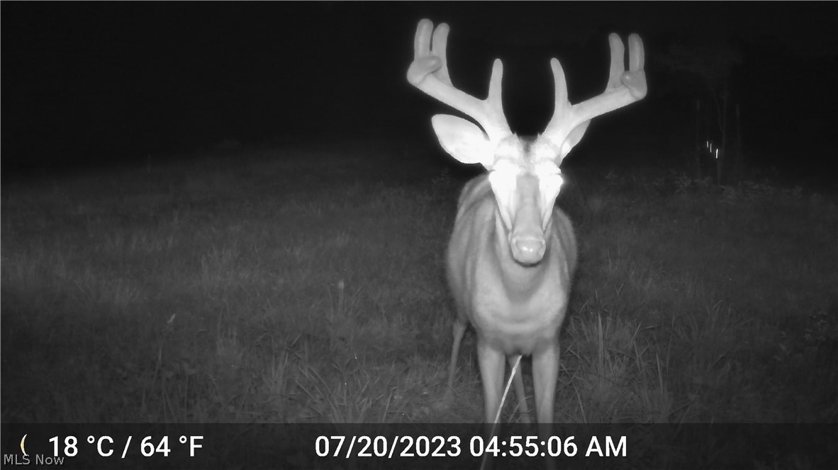 United States Military Lands - Land