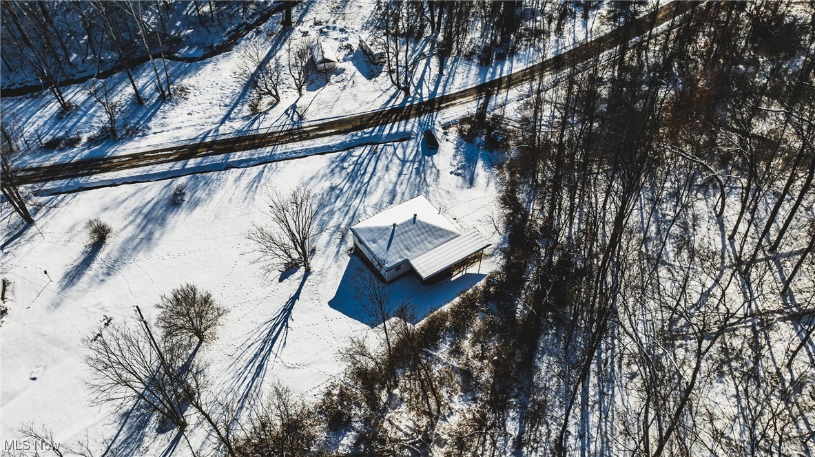 53460 Bald Knob Stiversville Road, Portland, Ohio image 22