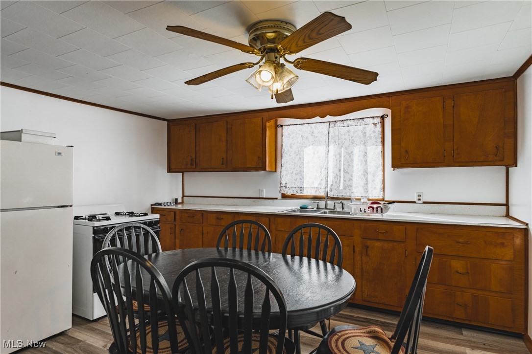 53460 Bald Knob Stiversville Road, Portland, Ohio image 4