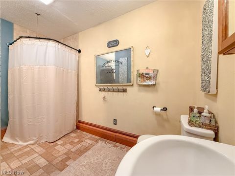 Tiny photo for 63 Center Street, Seville, OH 44273 (MLS # 5190890)