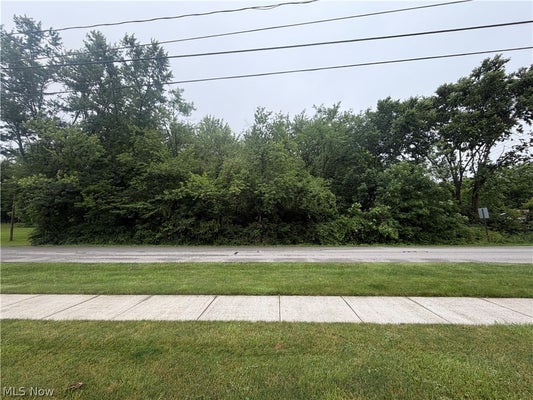 WAVERLY AVE, WADSWORTH, OH 44281 - Image 501f4d1fd80cc97986b0aff42e182bbe/4199960632