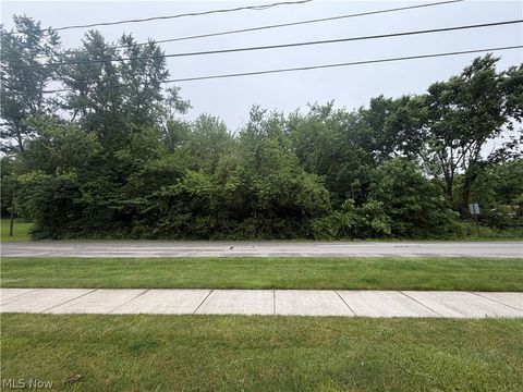 Vacant Land For Sale - V/L Waverly Avenue<br/> Wadsworth, OH 44281