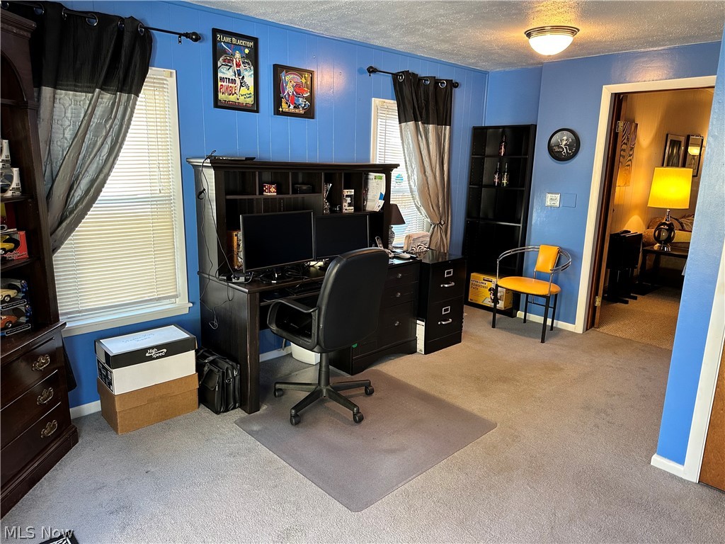 Carpenter - Residential