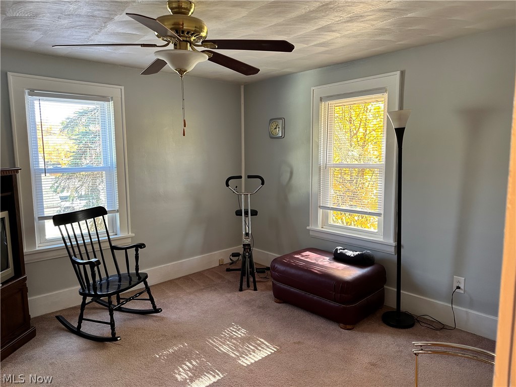 Carpenter - Residential