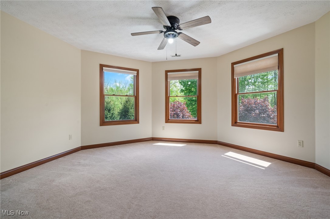 24851 Eagle Pointe Court, Columbia Station, Ohio image 24