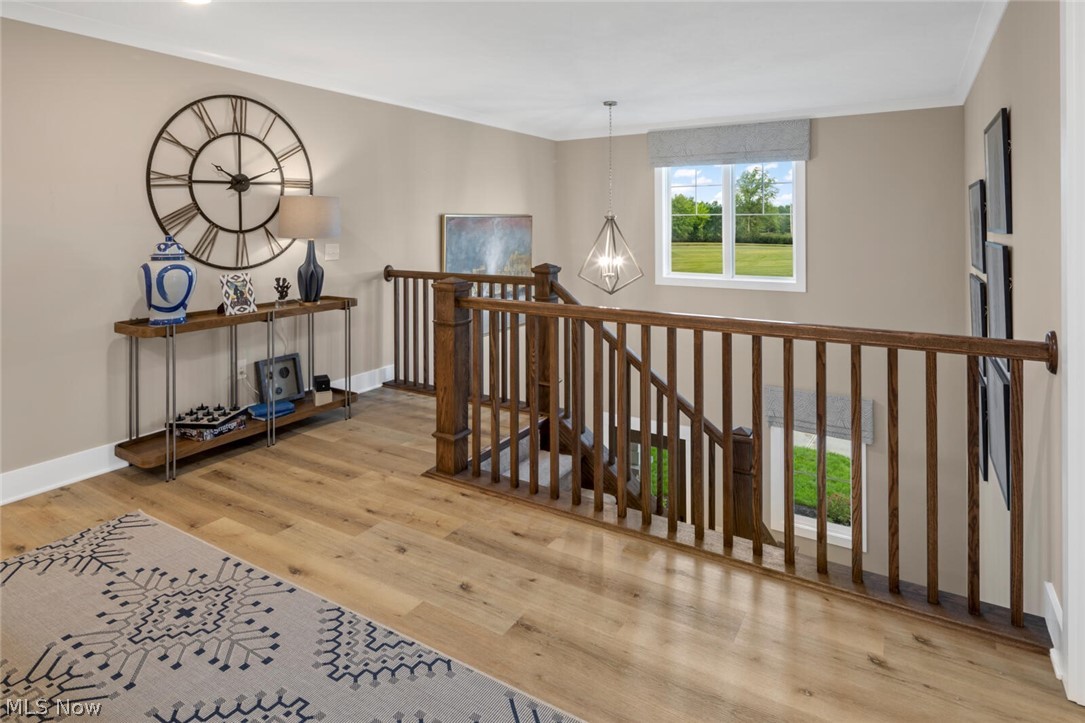 Redtail - Residential