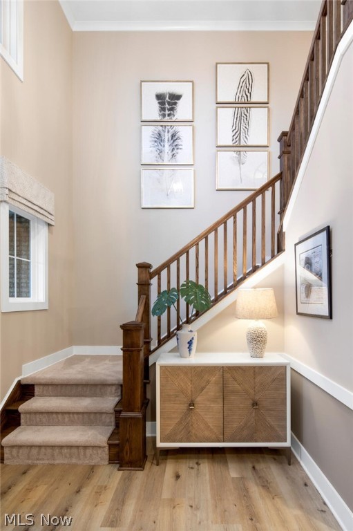 Redtail - Residential