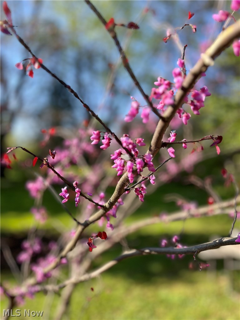 Squares Acres Sub 2 - Residential