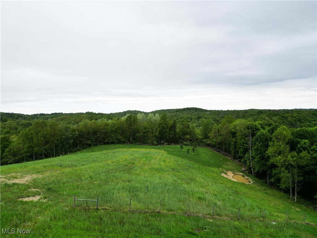 14472 County Road 14, Dresden, Ohio image 22
