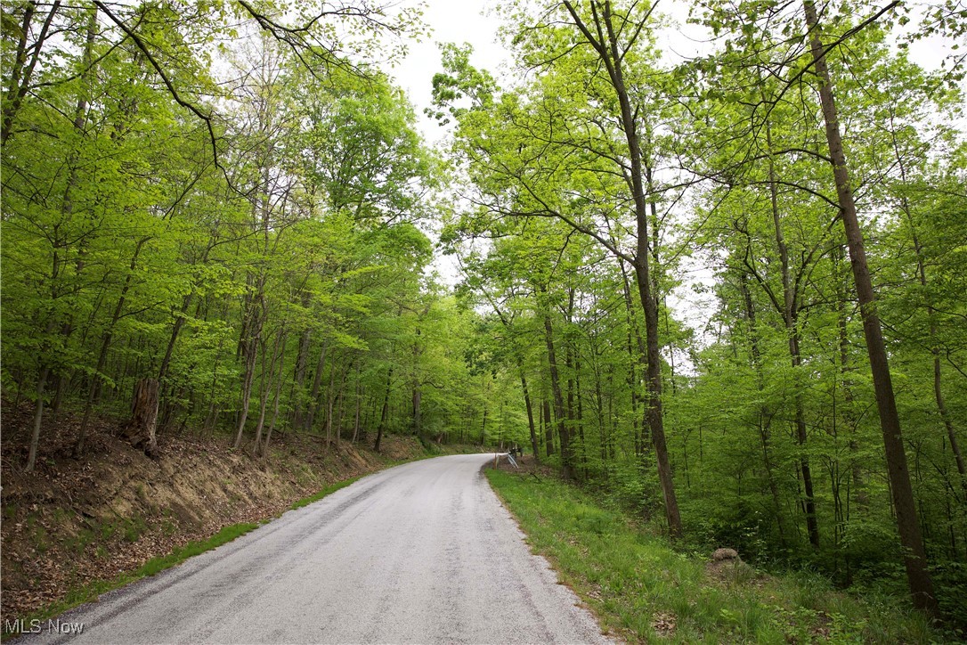 14472 County Road 14, Dresden, Ohio image 26