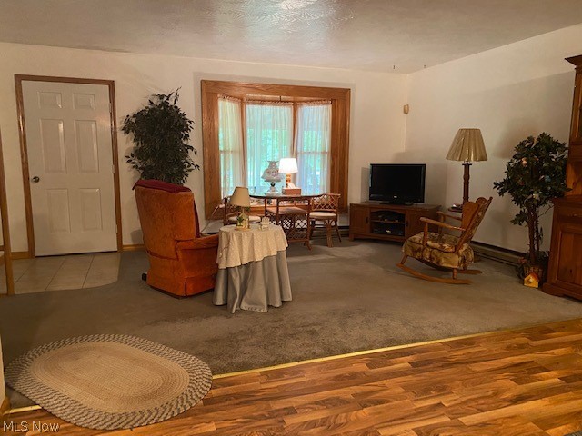 Braceville Township Original Sec 01 - Residential