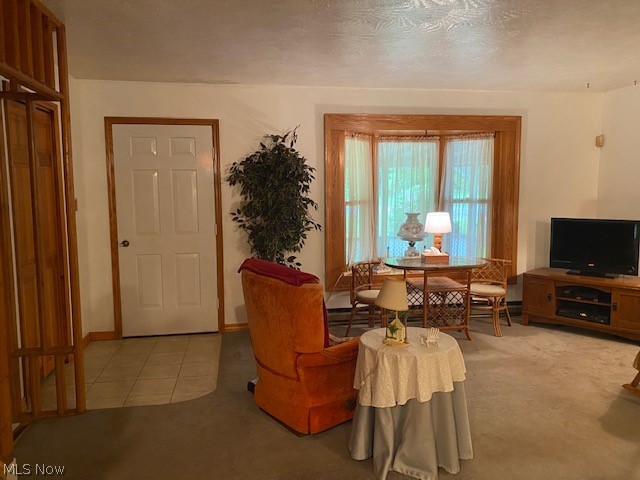 Braceville Township Original Sec 01 - Residential