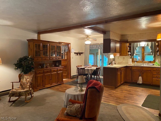 Braceville Township Original Sec 01 - Residential