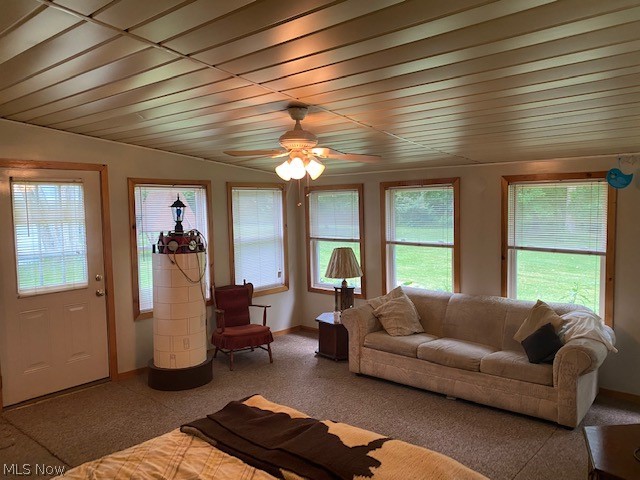 Braceville Township Original Sec 01 - Residential