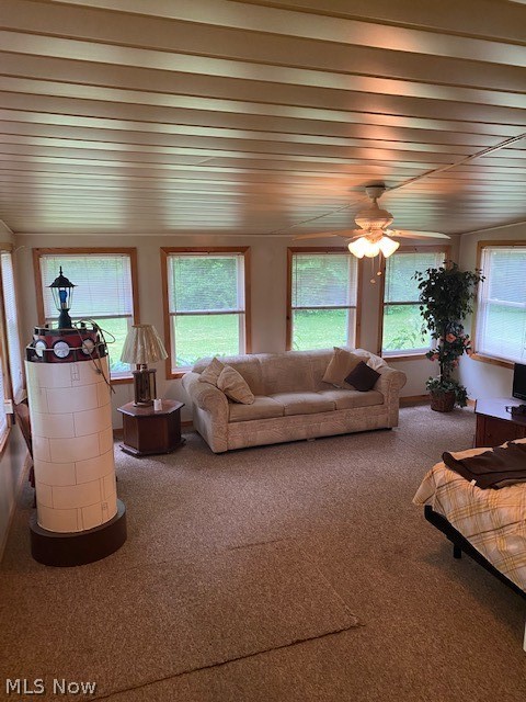 Braceville Township Original Sec 01 - Residential