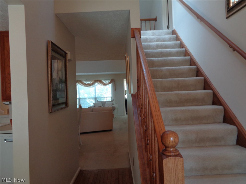 Hyde Park Condo - Residential
