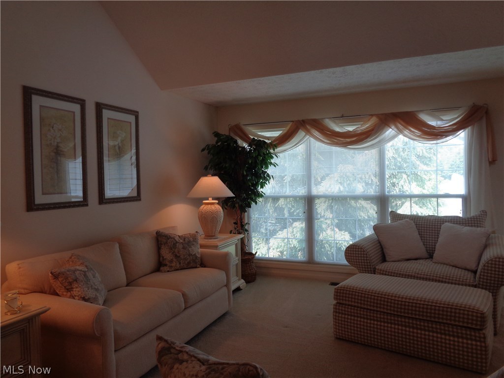 Hyde Park Condo - Residential