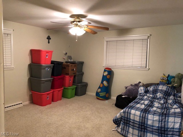 BUENA VISTA - Residential