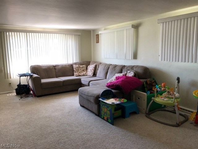 BUENA VISTA - Residential