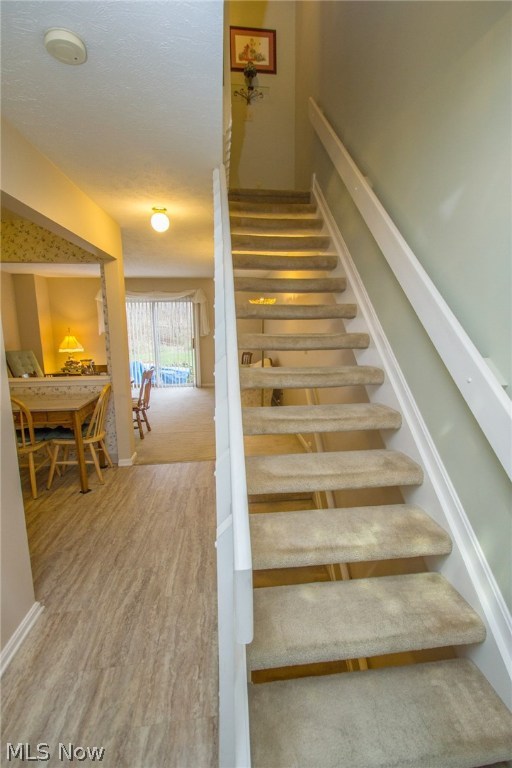 Steeple Chase - Residential