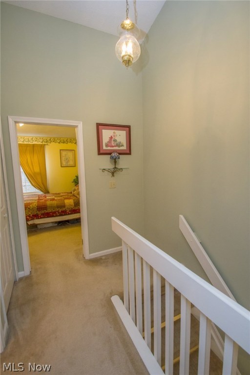 Steeple Chase - Residential