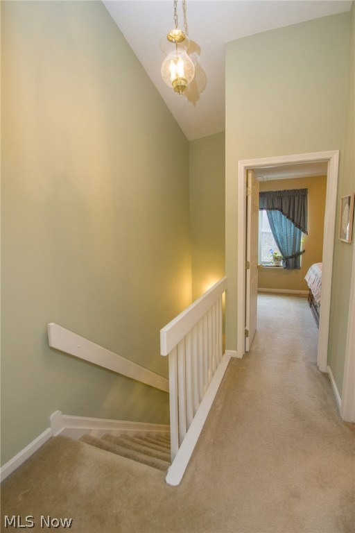 Steeple Chase - Residential