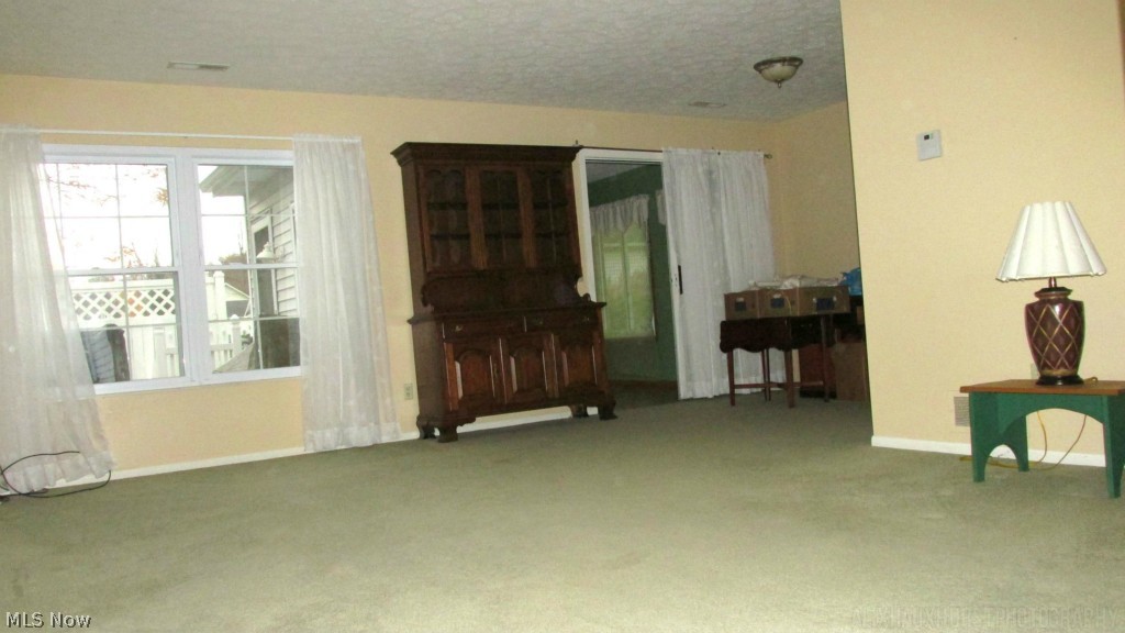 Country Scene Condo - Residential