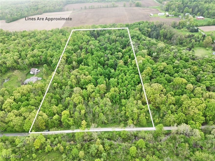 18 Wooded acres with over 580' of road frontage along Montgomery Rd. Beautiful mature woods throughout with your driveway already in place and trails throughout. Invest in a gorgeous country plot of ground and get a hedge on inflation. Located only ¾ mi. West of Windsor/Mechanicsville rd. the variety of possibilities it presents is astounding. Watch as vacant land prices continue to increase around you as you sit on a property you can hunt, build and enjoy for years to come