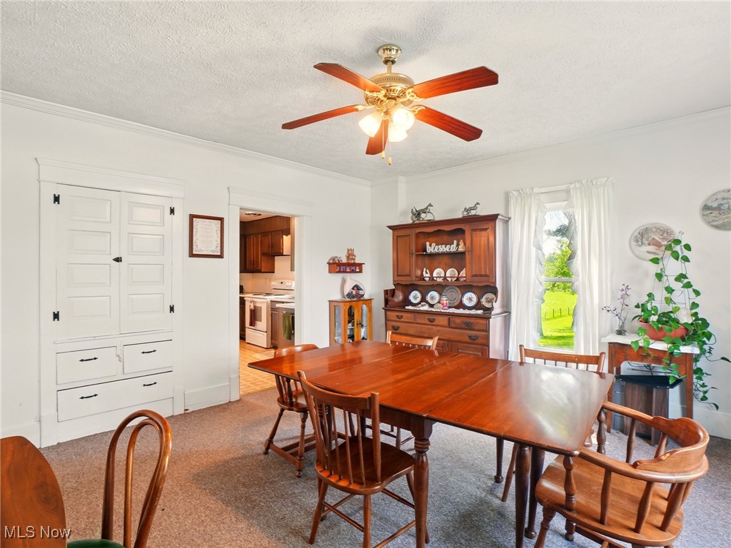 2942 S Ridge Road, Kingsville, Ohio image 7