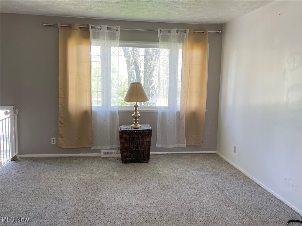 2821 Tod Avenue, Warren, Ohio image 3