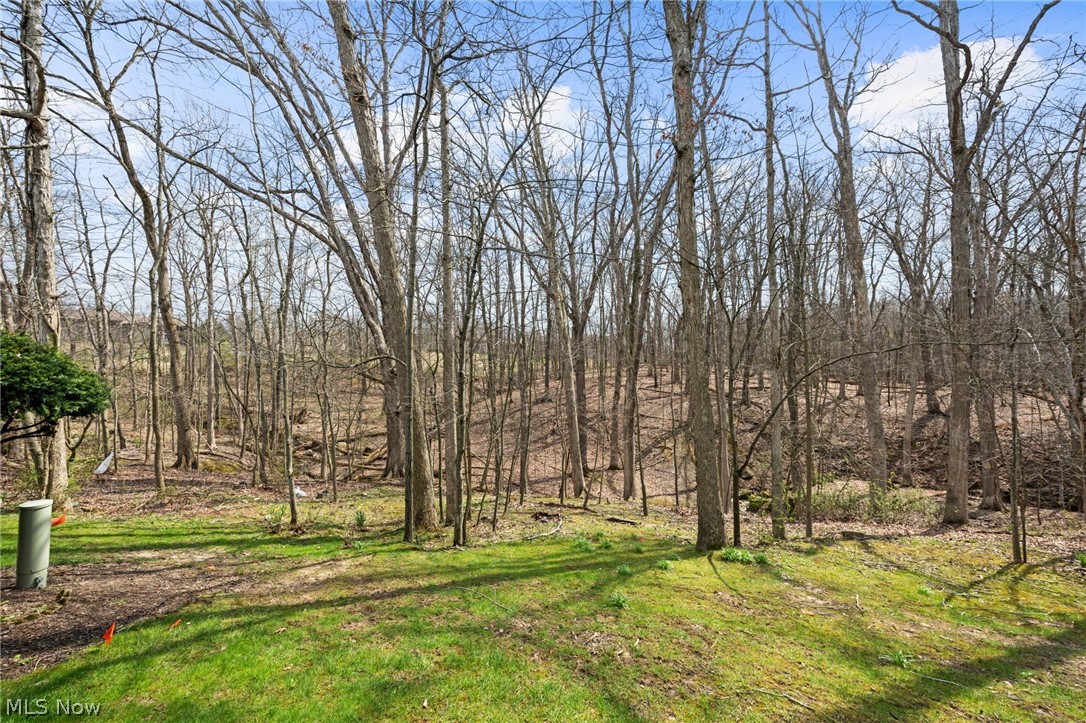 Tymber Skan Condo - Residential