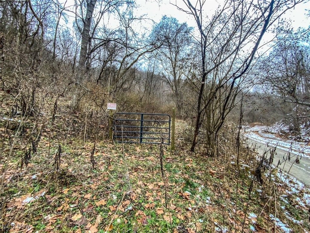 Photo of 000 Trough Run Road, Bellaire, OH 43906 (MLS # 5178310)